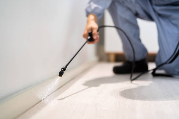 Licensed Cockroach Control service in Deerfield, MI - Nex Pest Control