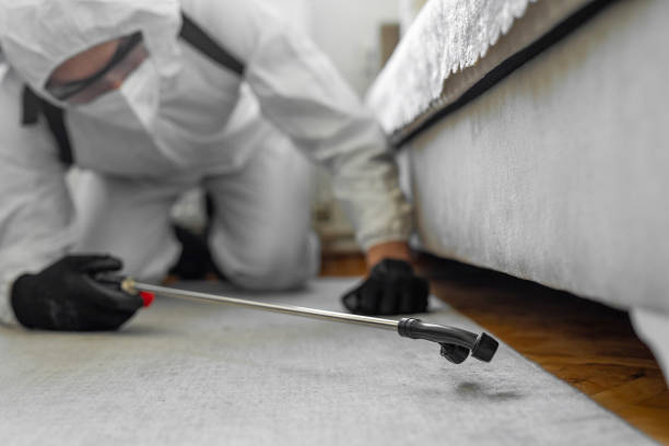 Professional Cockroach Control technician working in Deerfield, MI