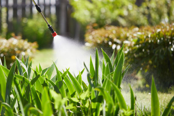 24/7 Emergency Cockroach Control experts in Deerfield, MI