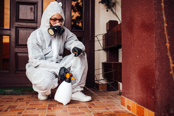 Reliable Cockroach Control contractor in Deerfield, MI by Nex Pest Control