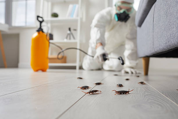 Affordable Cockroach Control solutions in Deerfield, MI